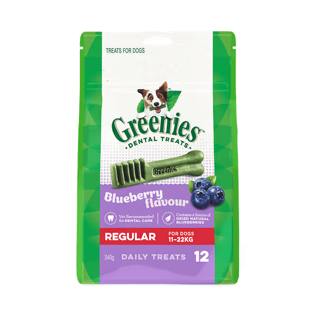 Greenies - Blueberry Flavour Regular Dog Dental Treats