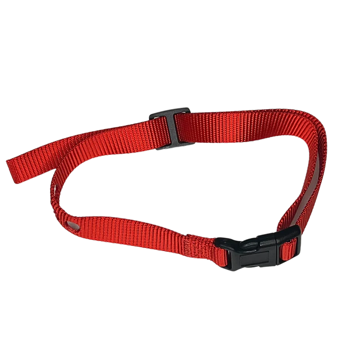 PetSafe - Red Nylon Strap - Pets Wonderland