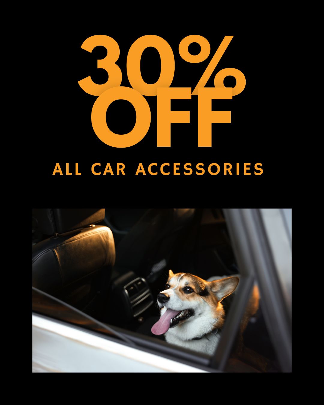 30% Off Car Accessories
