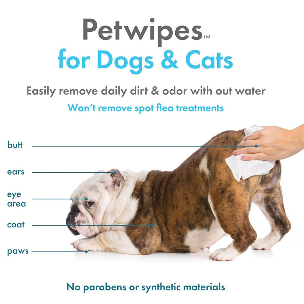 Petkin - Plant-Based Pet Wipes Vanilla Scented 100pk