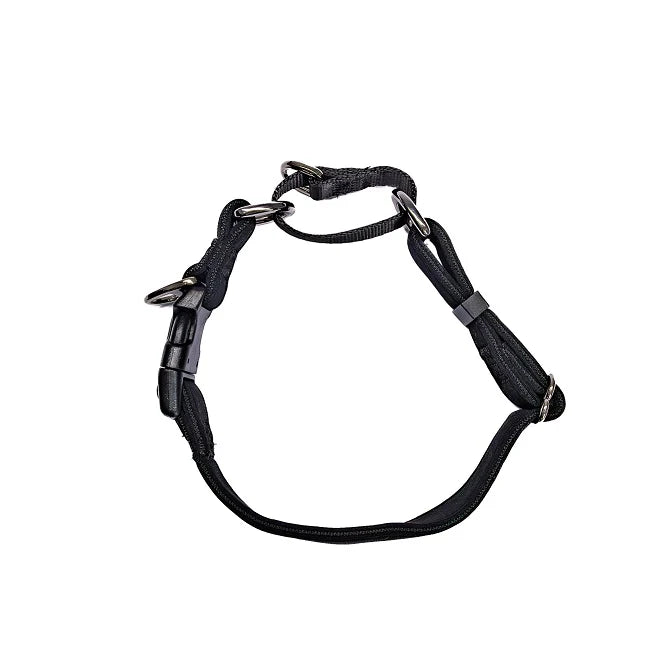 Activedog - Martingale Collar - Pets Wonderland