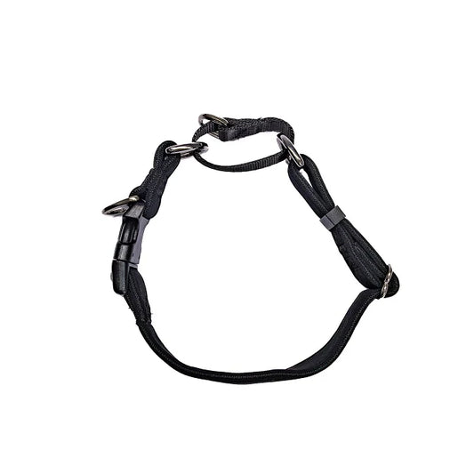 Activedog - Martingale Collar - Pets Wonderland