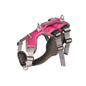 Activedog - Sport No Pull Harness - Pets Wonderland