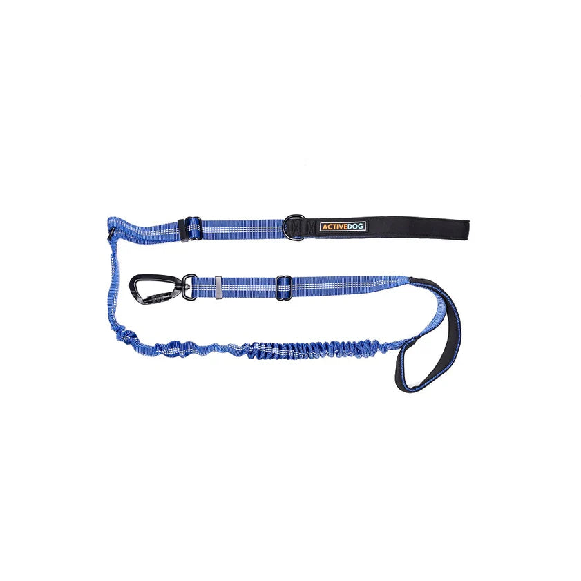Activedog - Bungee Dog Lead - Pets Wonderland