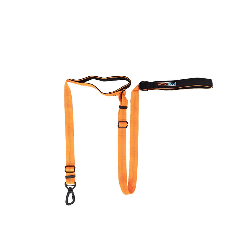 Activedog - Adjustable Dog Lead - Pets Wonderland