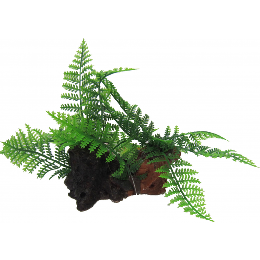 Amazon Jungle - Reptile Twin Ferns On Log Plant