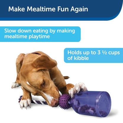 PetSafe - Busy Buddy Tug-A-Jug