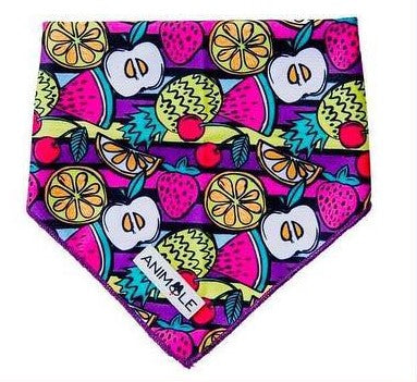 Animale - Bandana - Pets Wonderland