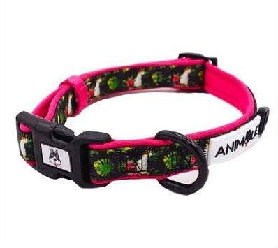 Animale - Collar Small "Hello Cocky" - Pets Wonderland