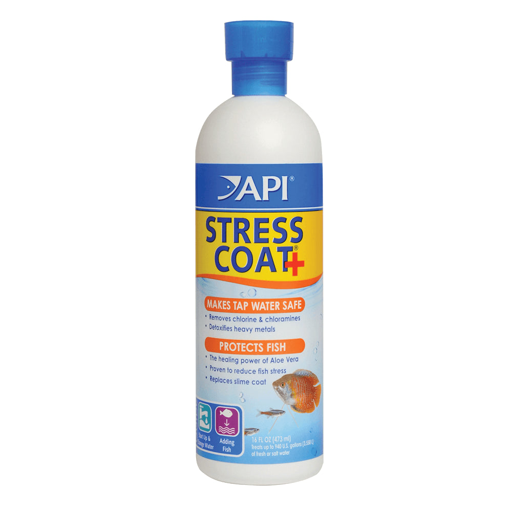 Api - Stress Coat