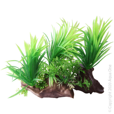 Aqua One - Ecoscape Dracaena On Driftwood Green