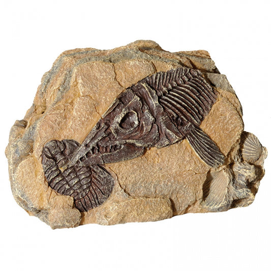 Aqua One - Ornament Fossil Ichthyosaur Rock