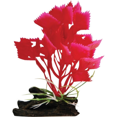 Aqua One - Plastic Plant Red Varigated Hygrophila With Log Base