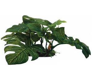 Aqua One - Silk Plant Green Leaf On Rock - Pets Wonderland