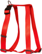 Beau Pets - Harness Nylon