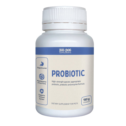 Big Dog Probiotic 150g