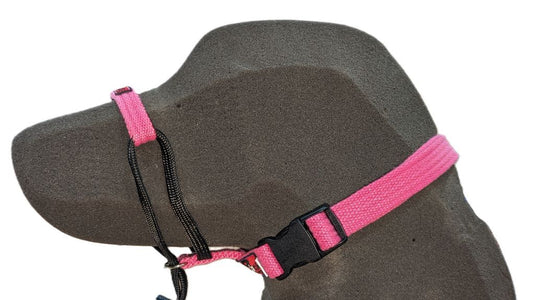 Blackdog - Greyhound Training Halter - Pets Wonderland