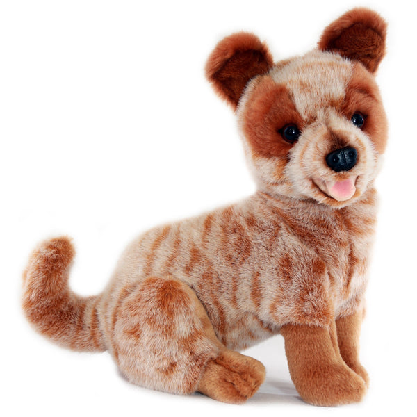 ~❤️~BOCCHETTA RUSTY Australian Cattle Dog Plush 31cm 12 Blue Heeler Soft Toy~❤️ - Foto 5