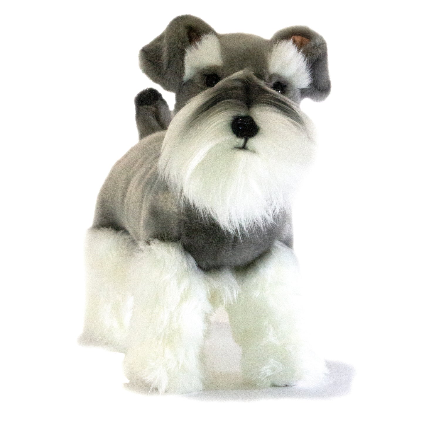 Bocchetta - Plush Toy Sherlock Schnauzer