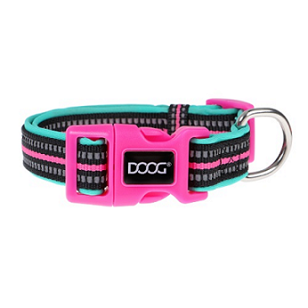 Doog - Neoprene Dog Collar - Pets Wonderland