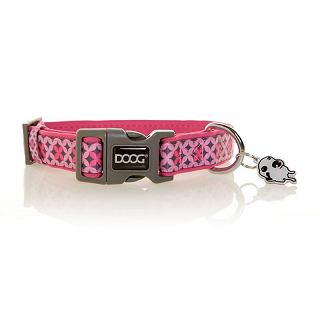 Doog - Neoprene Dog Collar - Pets Wonderland
