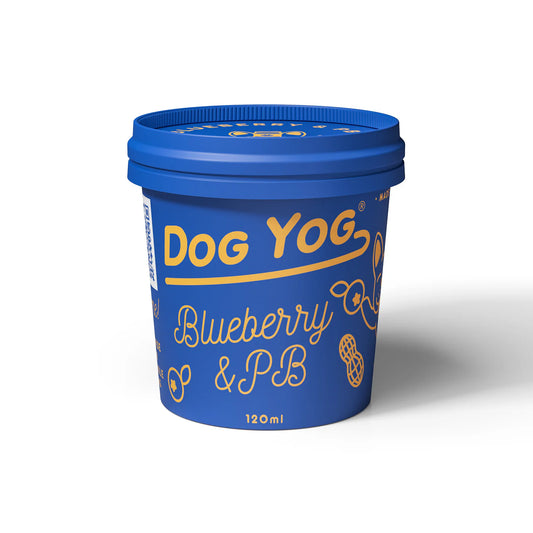 Dog Yog - Ice Cream Blueberry & Peanut Butter - Pets Wonderland