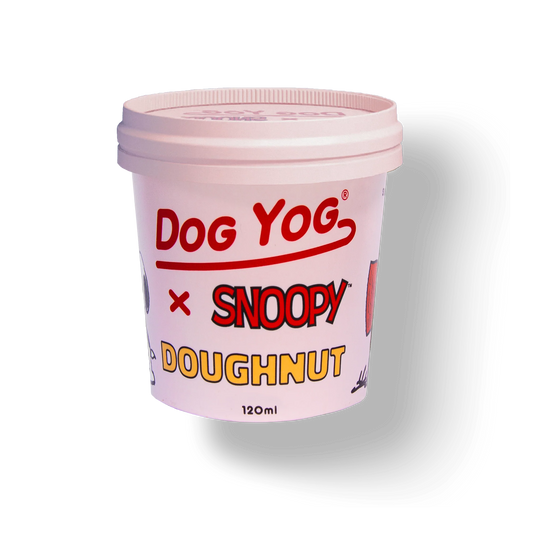 Dog Yog - Ice Cream Donut - Pets Wonderland