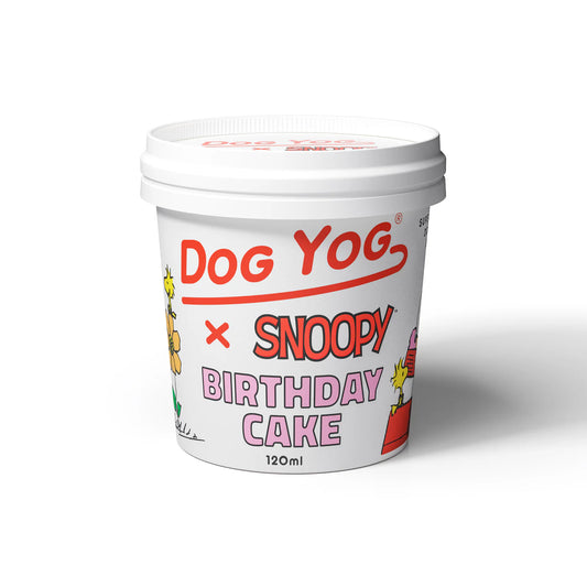 Dog Yog - Ice Cream Snoopy Bday Cake - Pets Wonderland