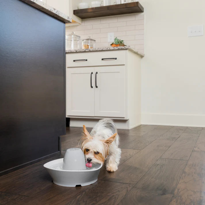 Petsafe - Ceramic Pet Water Fountain 1.8L - Pets Wonderland