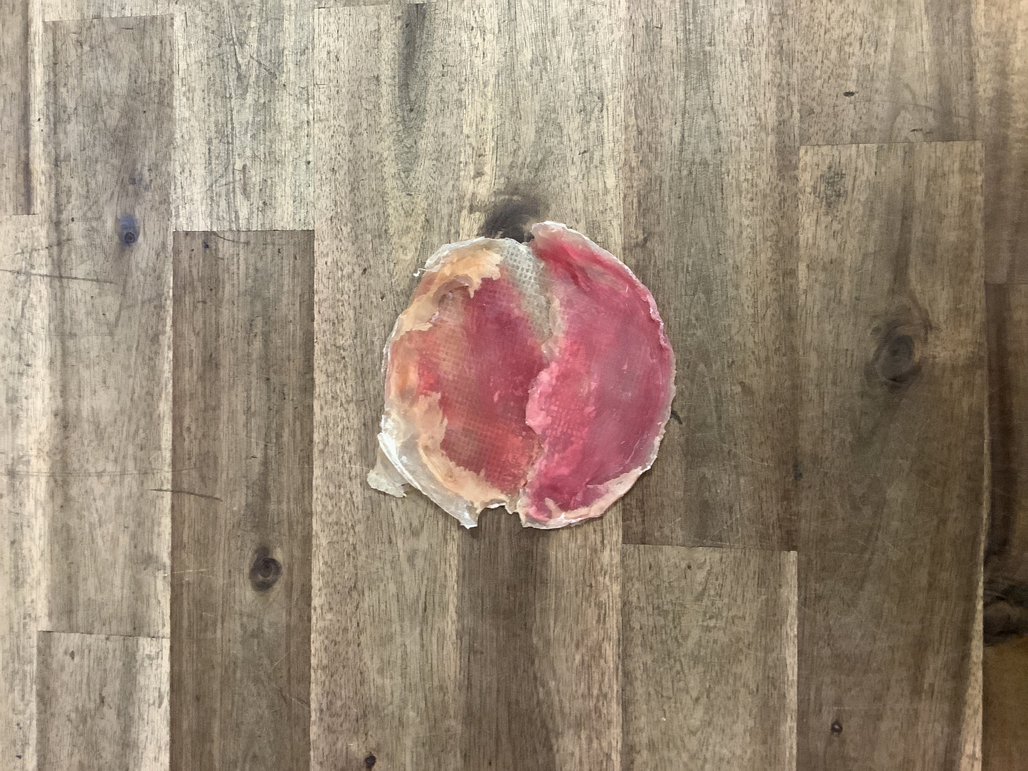 Dog Treat (Individual) - Pets Wonderland