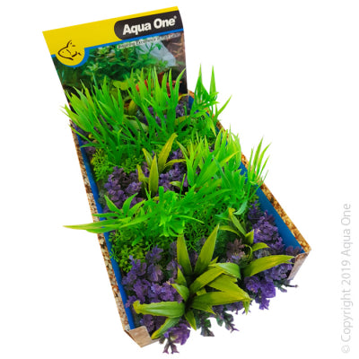 Aqua One - Ecoscape Foreground Willow Hygro - Pets Wonderland