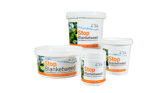 Evolution Aqua - Stop Blanket Weed 1Kg