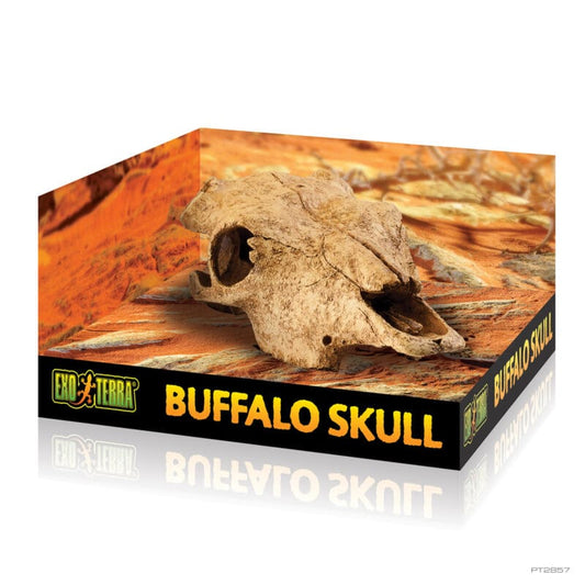 Exo Terra - Buffalo Skull - Pets Wonderland