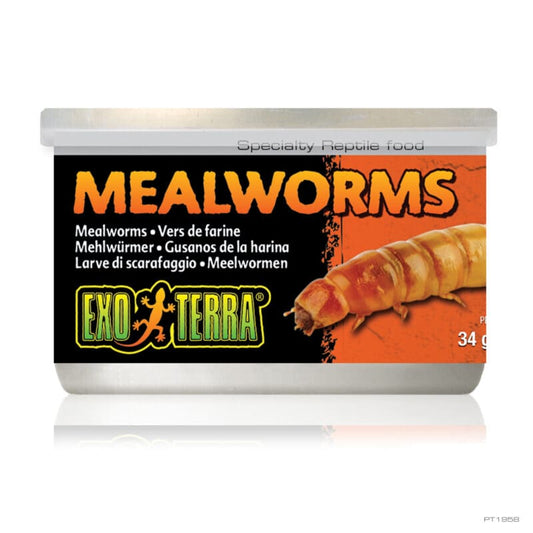 Exo Terra - Can Mealworms 34g - Pets Wonderland