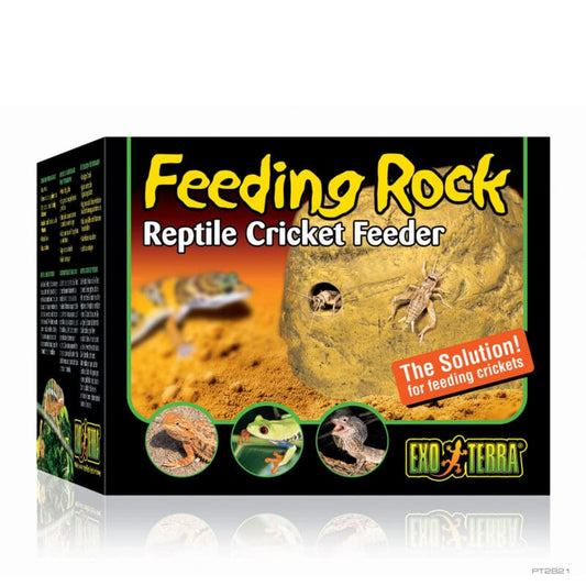 Exo Terra - Feeding Rock - Pets Wonderland