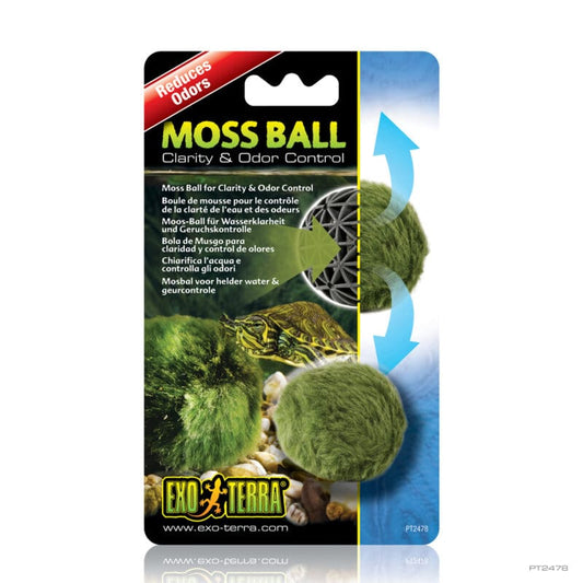 Exo Terra - Terra Moss Ball - Pets Wonderland