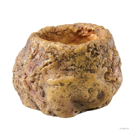 Exo Terra - Snake Water Bowl - Pets Wonderland