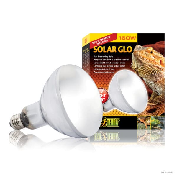 Exo Terra - Solar Glo Uv Heat Lamp - Pets Wonderland