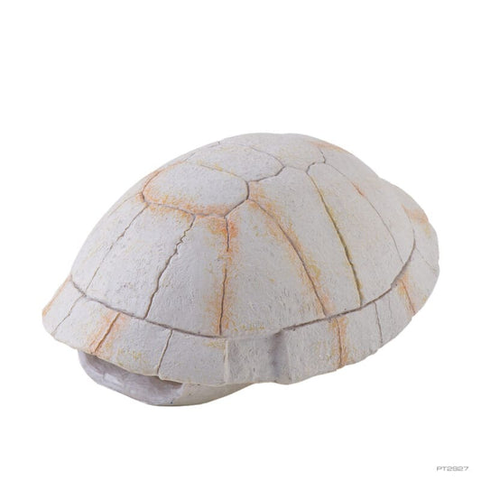 Exo Terra - Tortoise Skeleton - Pets Wonderland