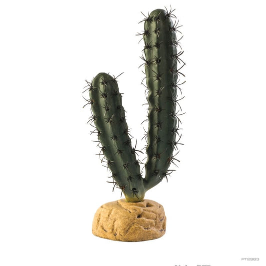 Exo Terra - Finger Cactus - Pets Wonderland