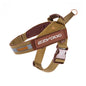 Ezydog - Express Harness