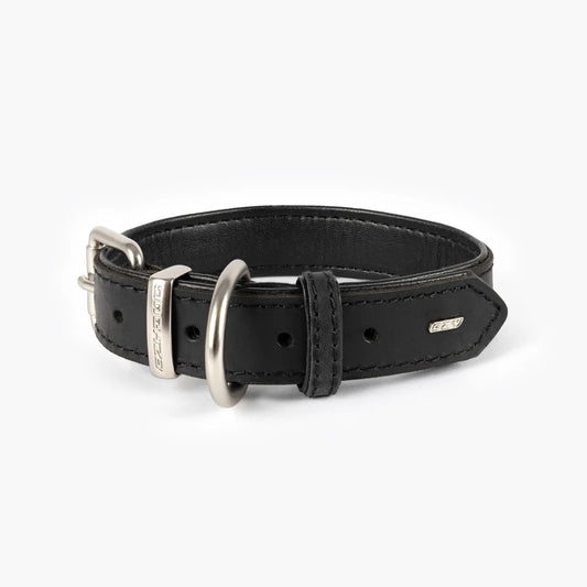 Ezydog - Collar Oxford Classic Leather - Pets Wonderland