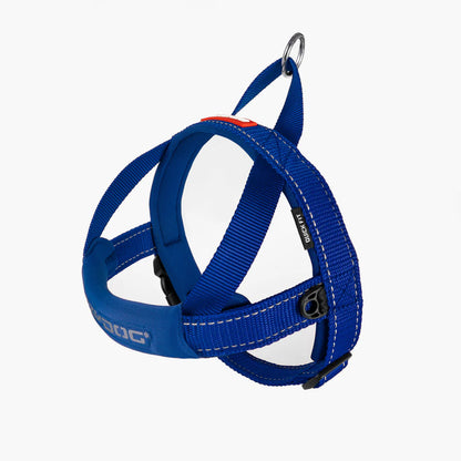 Ezydog - Quick-Fit Harness - Pets Wonderland