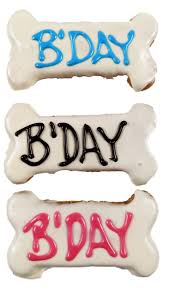 Treat Small Bday Bone - Pets Wonderland