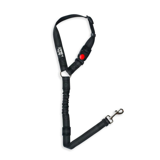 Indie Boho - Dog Car Seat Belt (Wraps Around Headrest) - Pets Wonderland