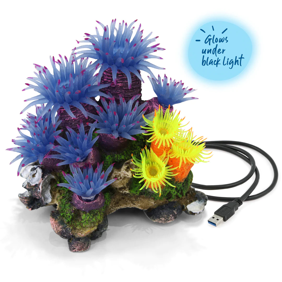 Kazoo - Ornament Blue Tunicate Coral Asstd Medium - Pets Wonderland