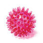 Kazoo - Space Ball Small - Pets Wonderland
