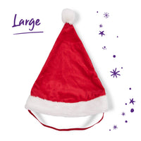 Santa Paws Hat - Large - Pets Wonderland