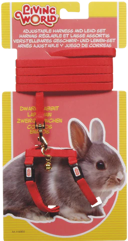 Living World - Dwarf Rabbit Harness & Lead Set