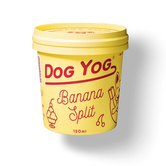Dog Yog - Banana Split